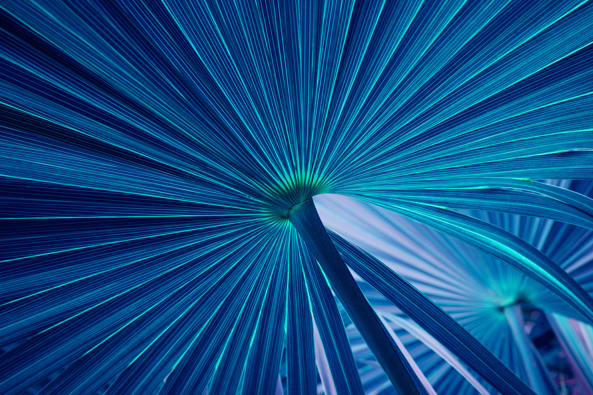 annual report cover image