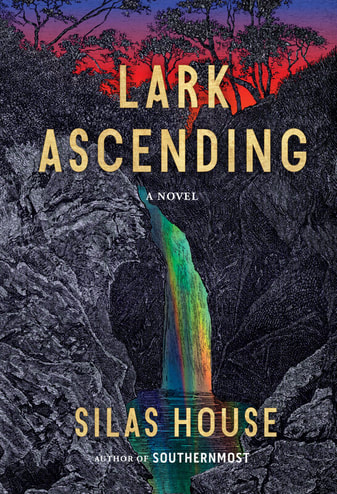 Lark Ascending book cover