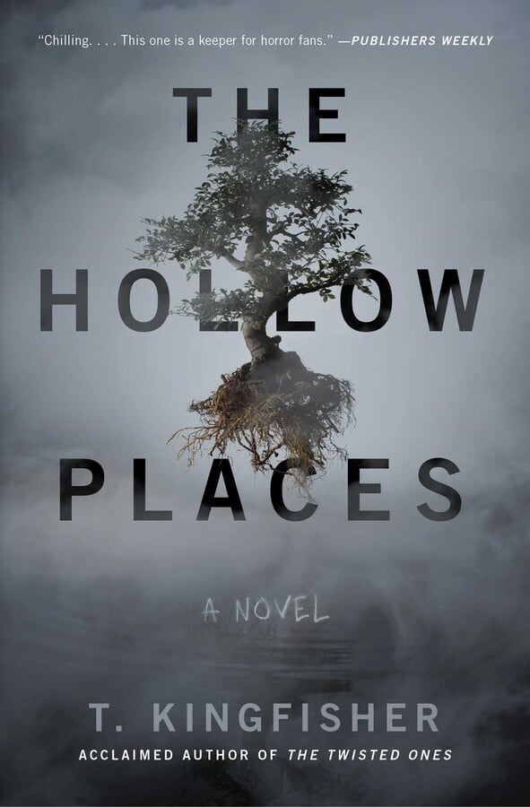 Hollow Places book cover