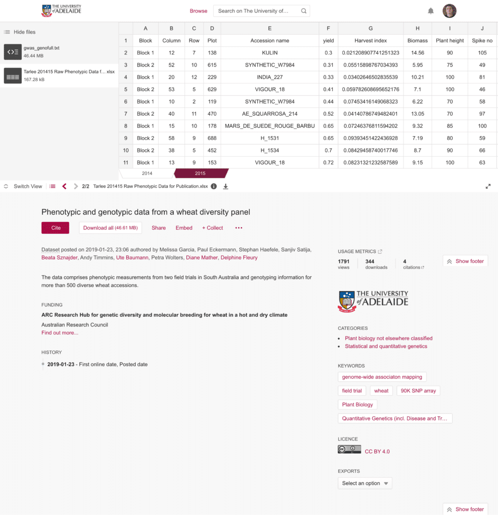 Adelaide University figshare dataset of phenotypic and genotypic data from a wheat diversity panel