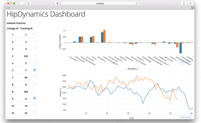 Screenshot - HipDynamics dashboard